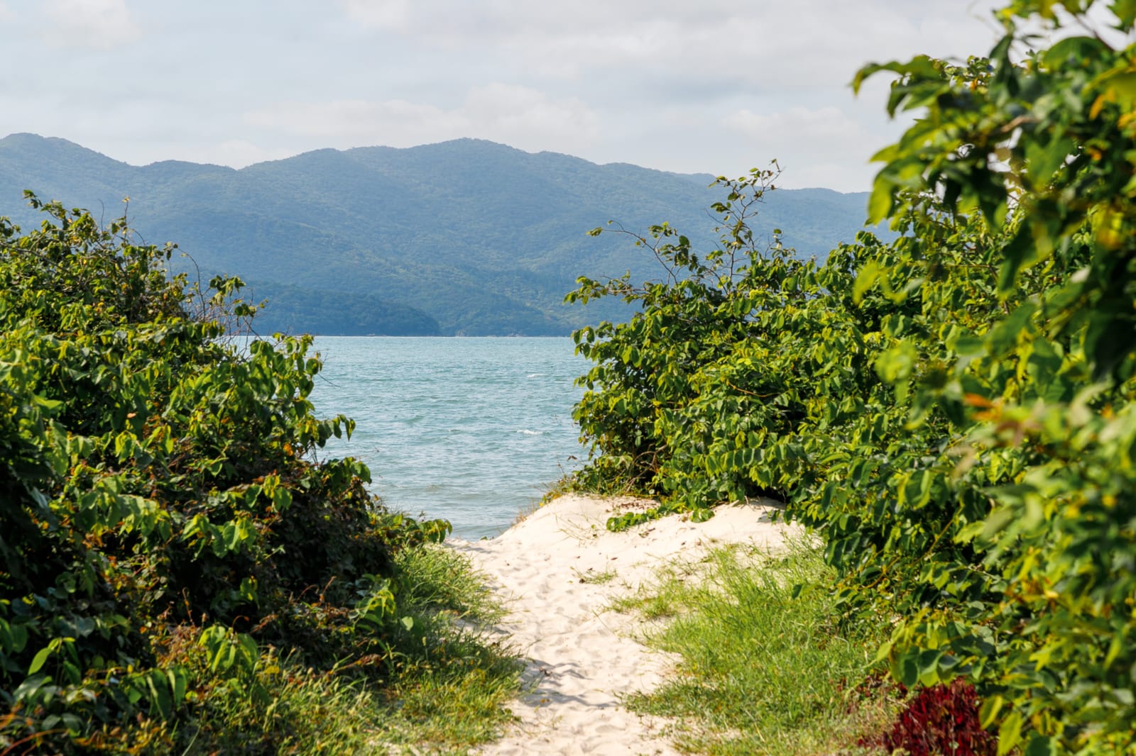 Balneário Daniela Caminho para o mar